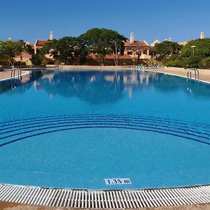 Live Terrace , Costa Adeje (Tenerife) España